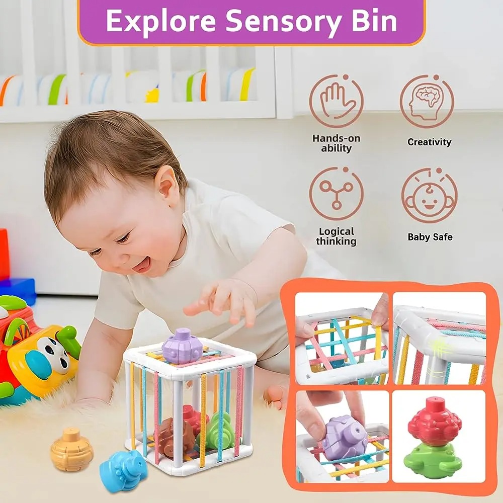 Rainbow Colorful Montessori Sh - Kids Education Toys ulasan dan harga