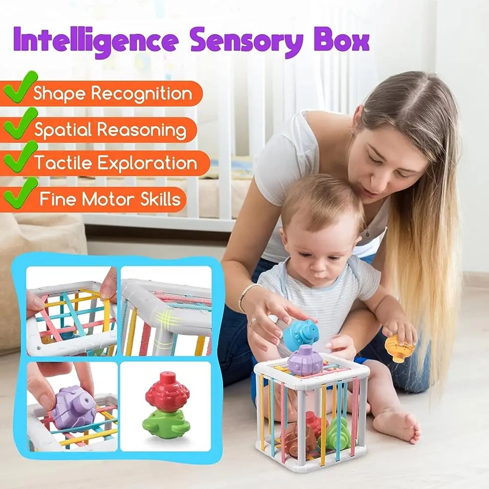 Rainbow Colorful Montessori Sh - Kids Education Toys ulasan dan harga