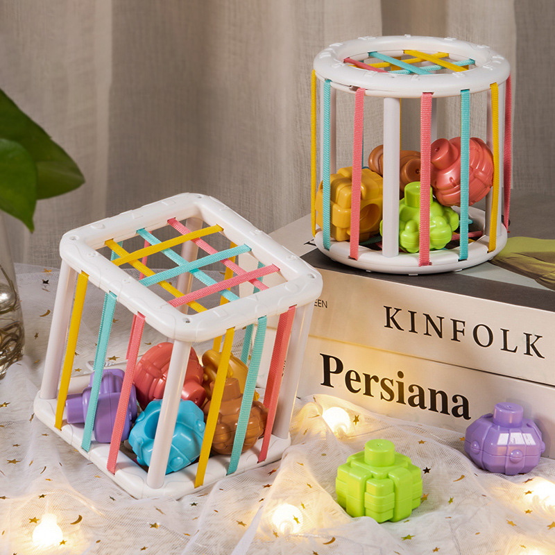 Rainbow Colorful Montessori Sh - Kids Education Toys ulasan dan harga